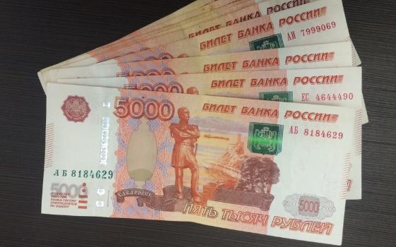 Брянские полицейские по горячим следам раскрыли кражу денег из коляски