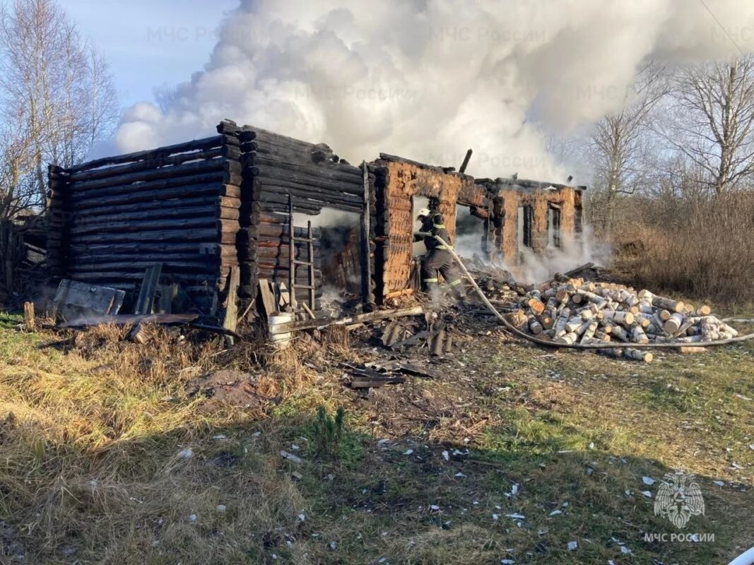 Женщина погибла на пожаре в жилом доме в  Брасовском районе