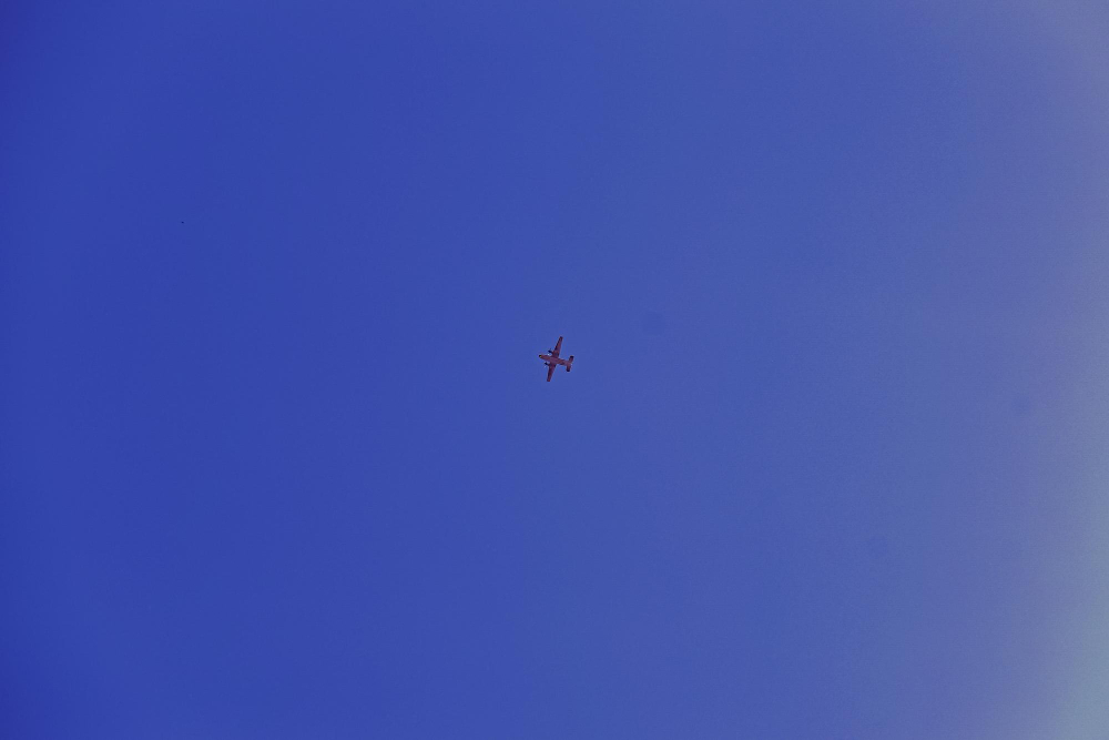 Вечером и ночью система ПВО сбила 78 беспилотников над Брянской областью