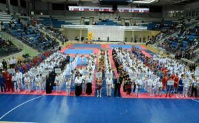 Х юношеские игры боевых искусств прошли в Брянске