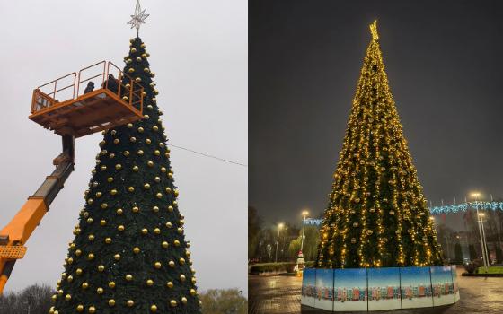 Первые новогодние ёлки «зажглись» в Брянске