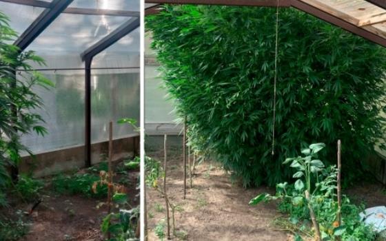 Жителя Клинцов суд отправил в колонию за торговлю наркотиками