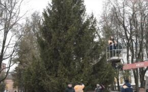 Главную городскую ёлку установили в Брянске