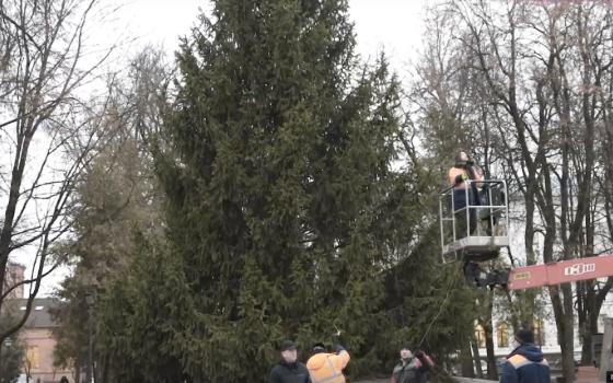 Главную городскую ёлку установили в Брянске
