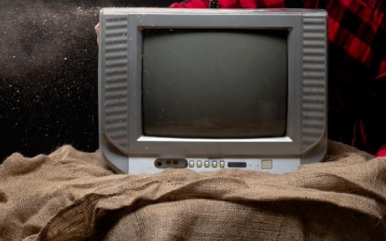 Кражу телевизора из дома в Новозыбковском районе раскрыли полицейские