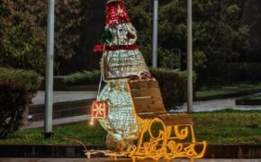 Парки Брянска украшают к Новому году