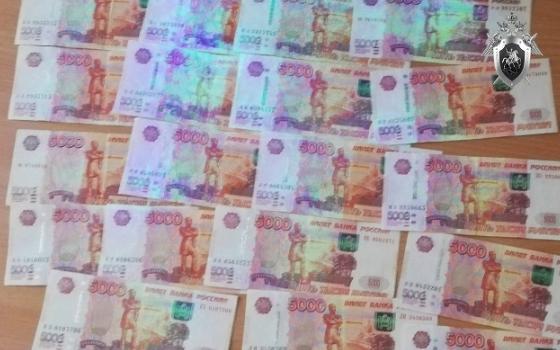 Житель Новозыбковского района отправился в колонию за попытку откупиться от полицейских