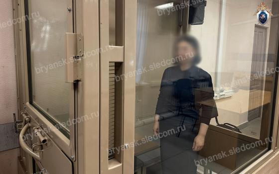 Бывшего директора брянской организации ждёт суд за мошенничество при поставке аппаратов ИВЛ