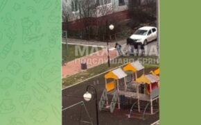 Лошадь сбила ребёнка на детской площадке в Брянске