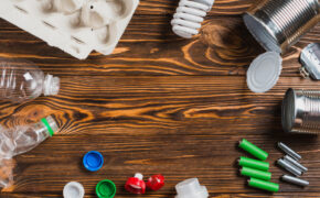 Сдать, чтобы обезвредить: куда в Брянске девать лампы, батарейки и вторсырьё