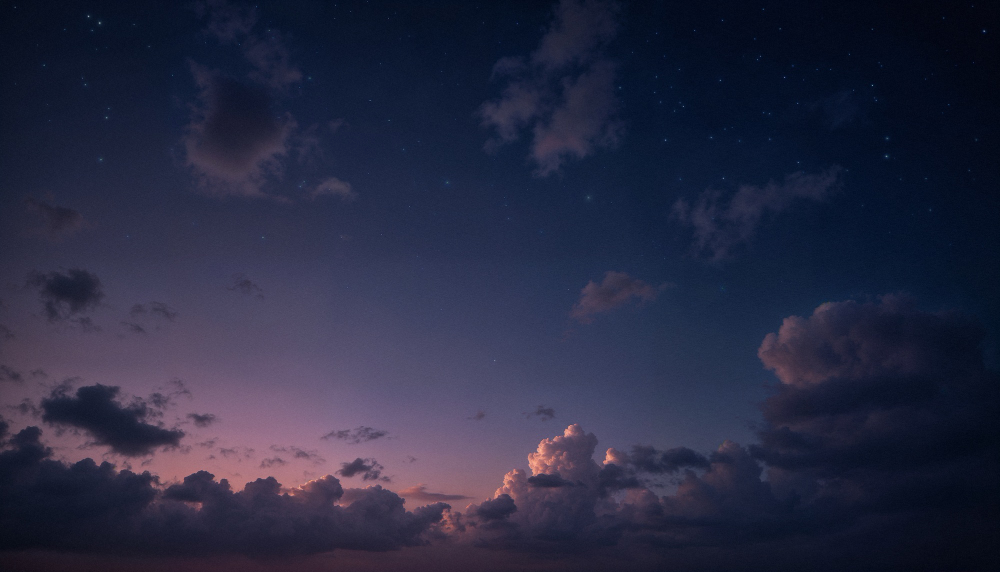 101 беспилотник сбила система ПВО над Брянщиной в новогоднюю ночь