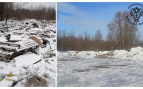 Свалку в Брянске убрали после вмешательства прокуратуры