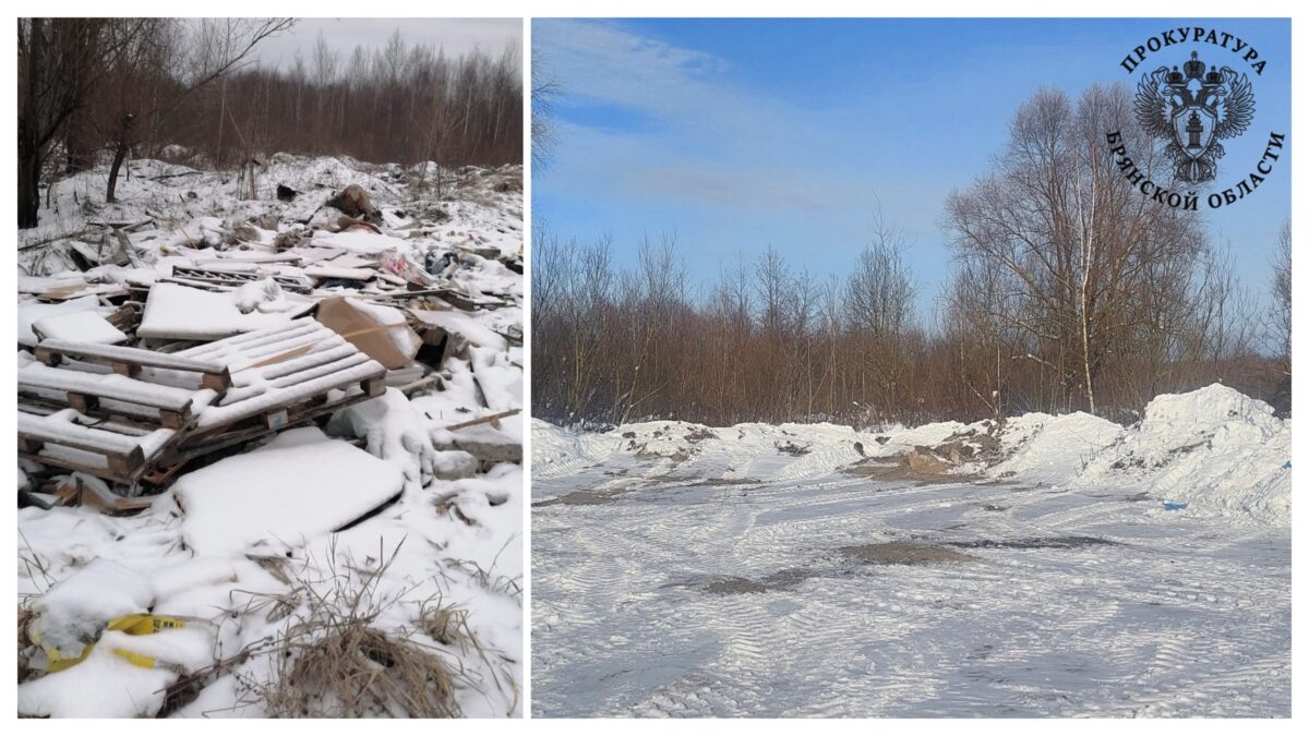 Свалку в Брянске убрали после вмешательства прокуратуры