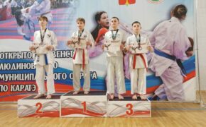 19 медалей завоевали юные брянские каратисты в Людиново