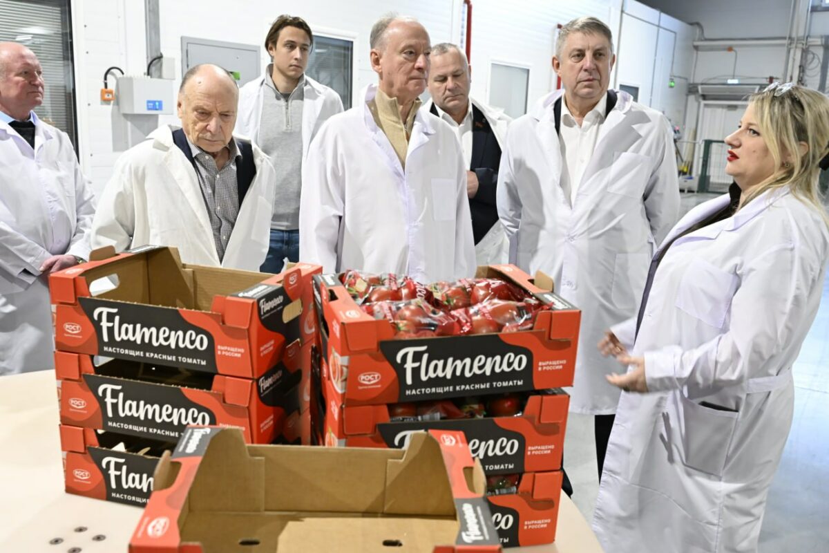 Помощник Президента России побывал на тепличном комбинате «Журиничи»