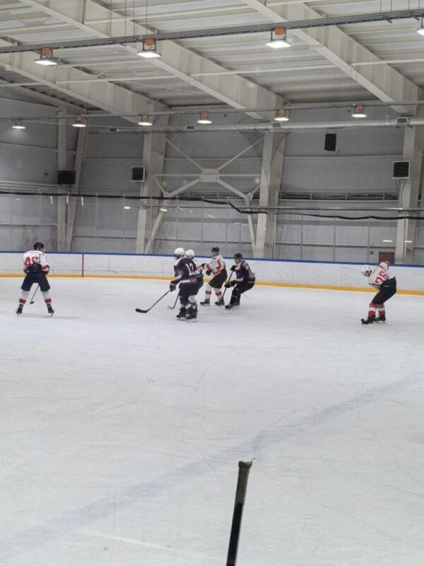 «Десна» из Жуковки выиграла чемпионат «Ночная хоккейная лига»