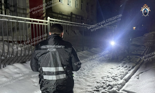Обвиняемого в убийстве приятеля подростка брянский суд отправил в СИЗО