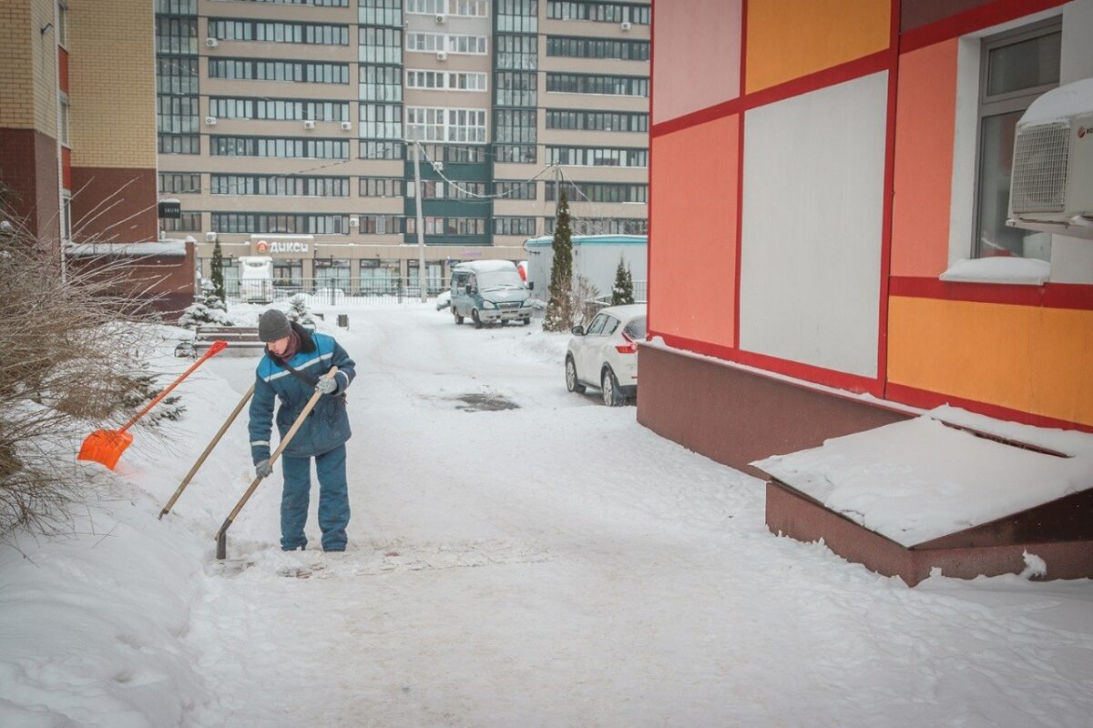 13 управляющих компаний Брянска навели порядок во дворах после предупреждения