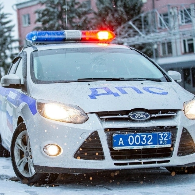 167 преступлений раскрыли брянские полицейские с начала года