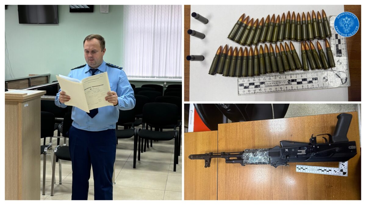 Брянец отправится в колонию за найденный в лесу автомат