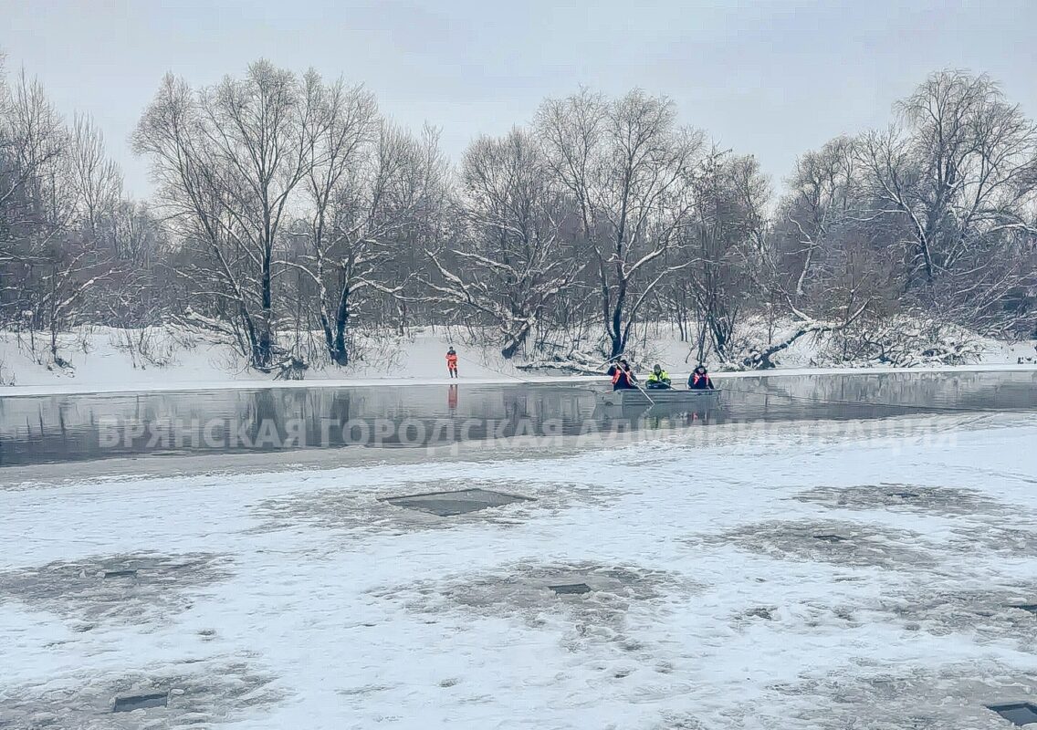 Утонувших в реке в Брянске детей спасатели ищут с помощью видеокамеры