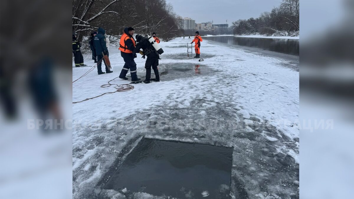 Брянские спасатели ищут утонувших в Десне двоих детей