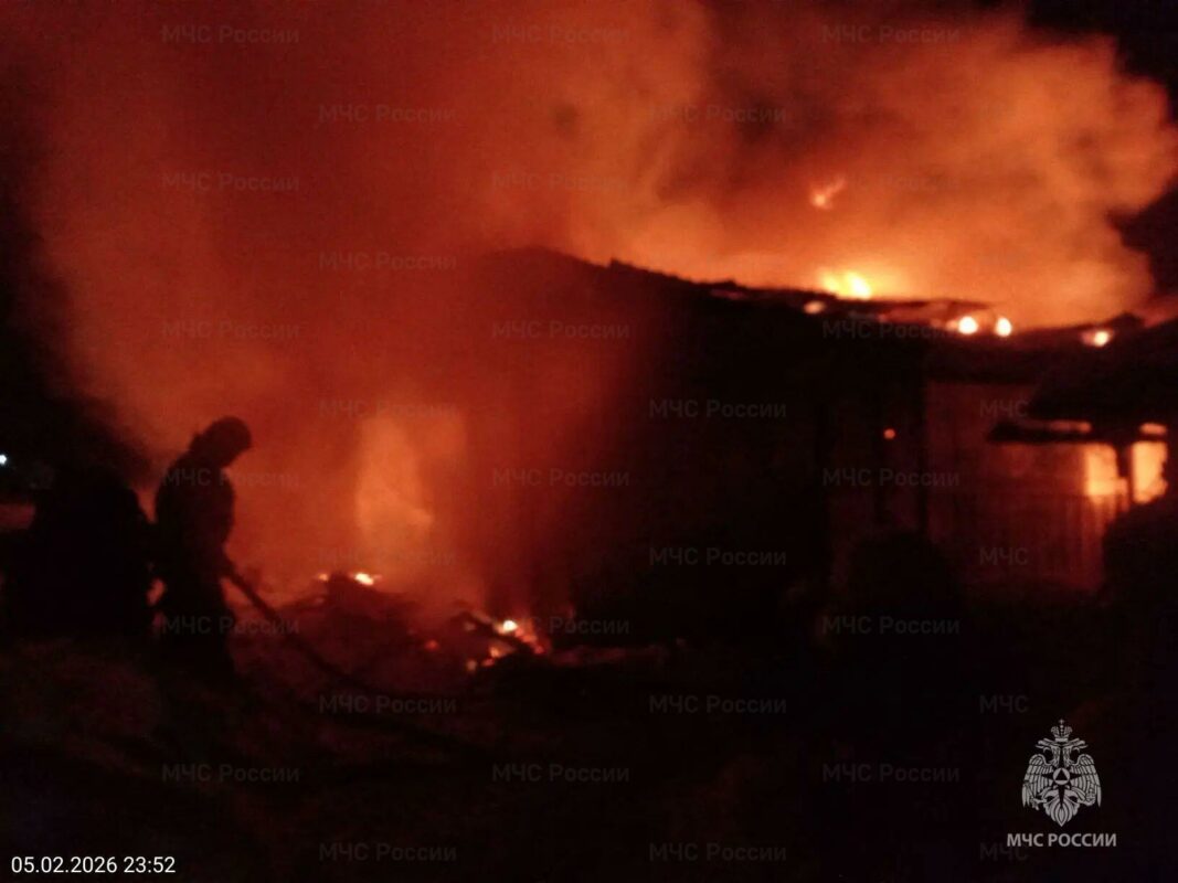 Спасатели потушили жилой дом в Брасовском районе ночью
