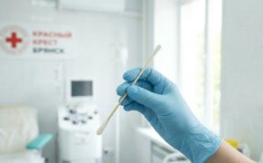Генетическая рулетка надежды: как 20 минут в брянском офисе Красного Креста могут изменить две жизни