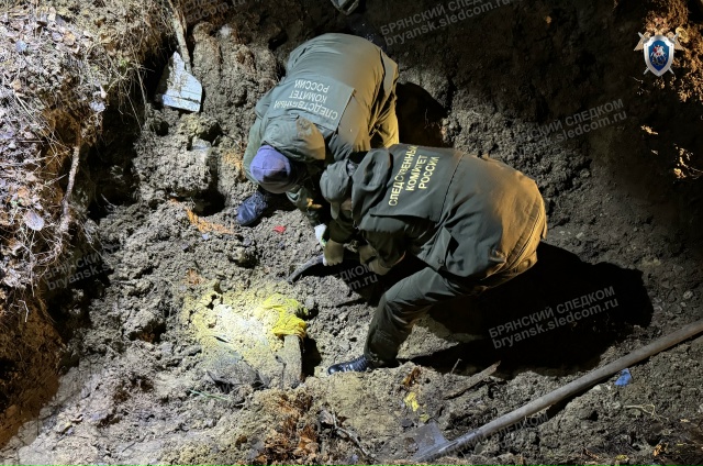 Дело об убийстве и краже почти полумиллиона рублей рассмотрит суд в Карачевском районе