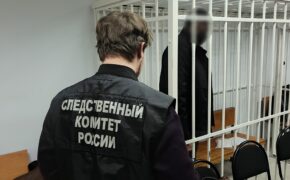 Брянский суд отправил в колонию иностранца за нападение на полицейского