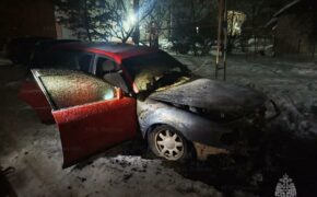 Машину потушили спасатели ранним утром в Сураже