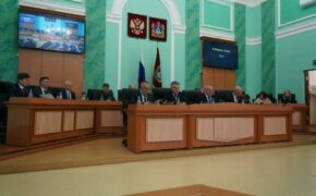 Брянские депутаты утвердили новую меру поддержки многодетных семей