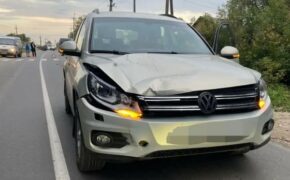 Виновный в гибели женщины водитель из Сельцо лишился свободы