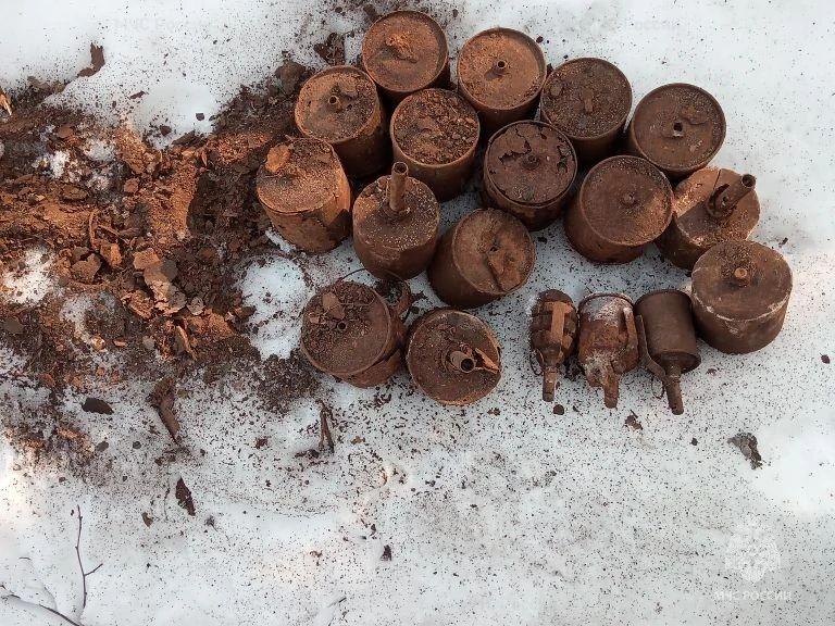 Более 20 боеприпасов уничтожили спасатели в Брянском районе