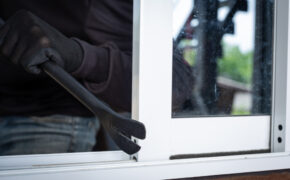 Кражу выручки и продуктов из магазина раскрыли брянские полицейские