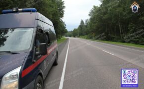 Житель Климовского района ждёт суд за пьяное вождение и оскорбление полицейского