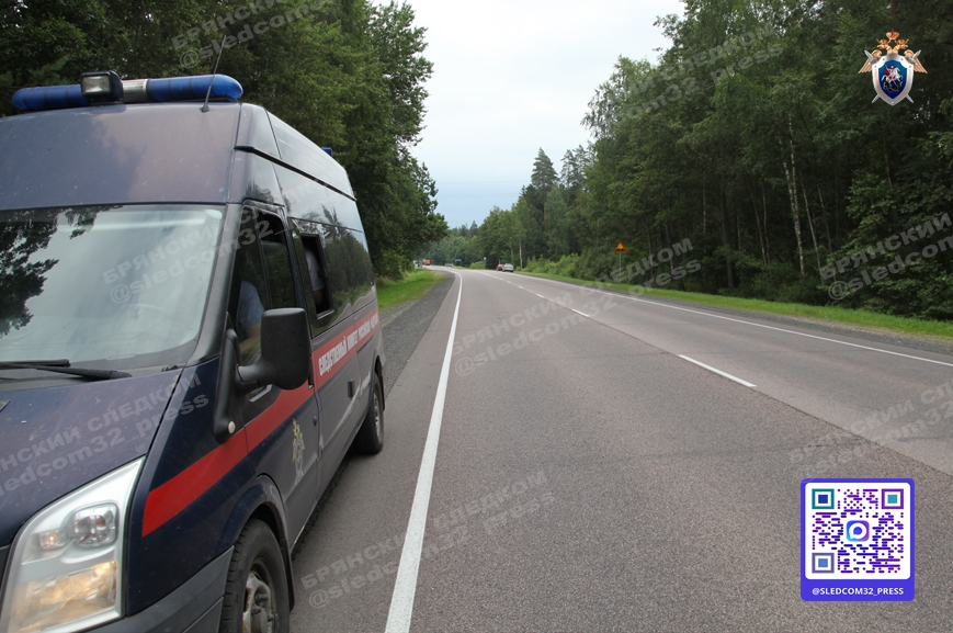 Житель Климовского района ждёт суд за пьяное вождение и оскорбление полицейского