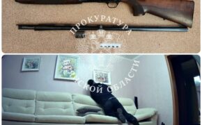 Дело о квартирной краже и хищение деталей к оружию рассмотрел брянский суд