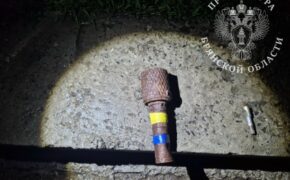 Дело об оставленной гранате в торгово-развлекательном центре Дятьково рассмотрел суд