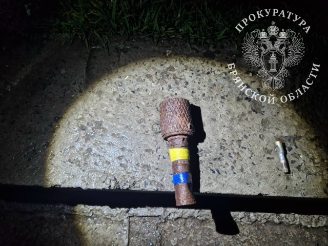 Дело об оставленной гранате в торгово-развлекательном центре Дятьково рассмотрел суд