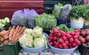 Сезонные ярмарки выходного дня в Брянской области откроются на следующей неделе