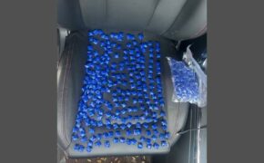 Брянские полицейские изъяли более 350 полимерных свертков с наркотиками