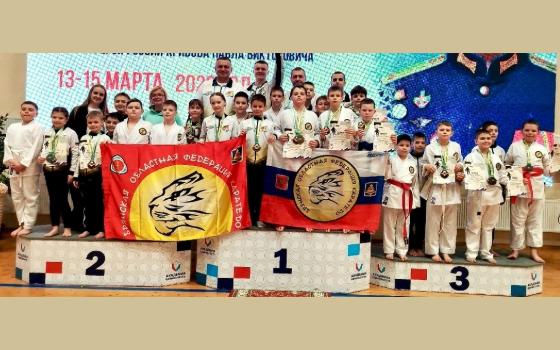 50 медалей завоевали брянские каратисты на всероссийском турнире