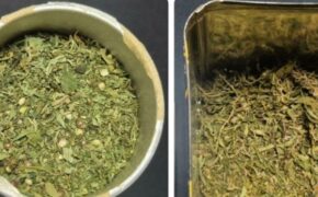 Брянец получил условное лишение свободы за хранение наркотиков