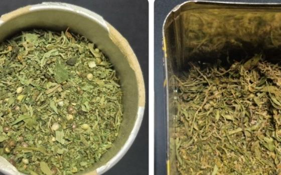 Брянец получил условное лишение свободы за хранение наркотиков