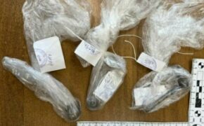 Жительницу Брянска ждёт суд за организацию наркопритона