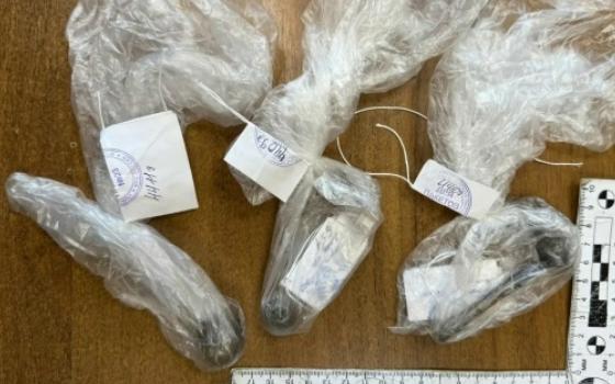 Жительницу Брянска ждёт суд за организацию наркопритона