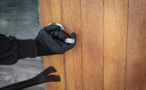 Полицейские за один день раскрыли кражу из дома пенсионерки в Брасовском районе