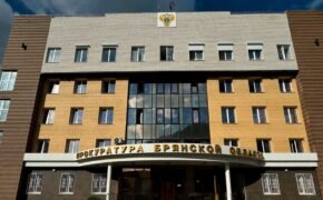 Сотрудницу МФЦ из Брянска обвиняют в незаконной передаче персональных данных