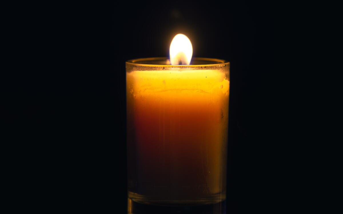 Женщина погибла при нападении дрона на автобус в Климовском районе в субботу